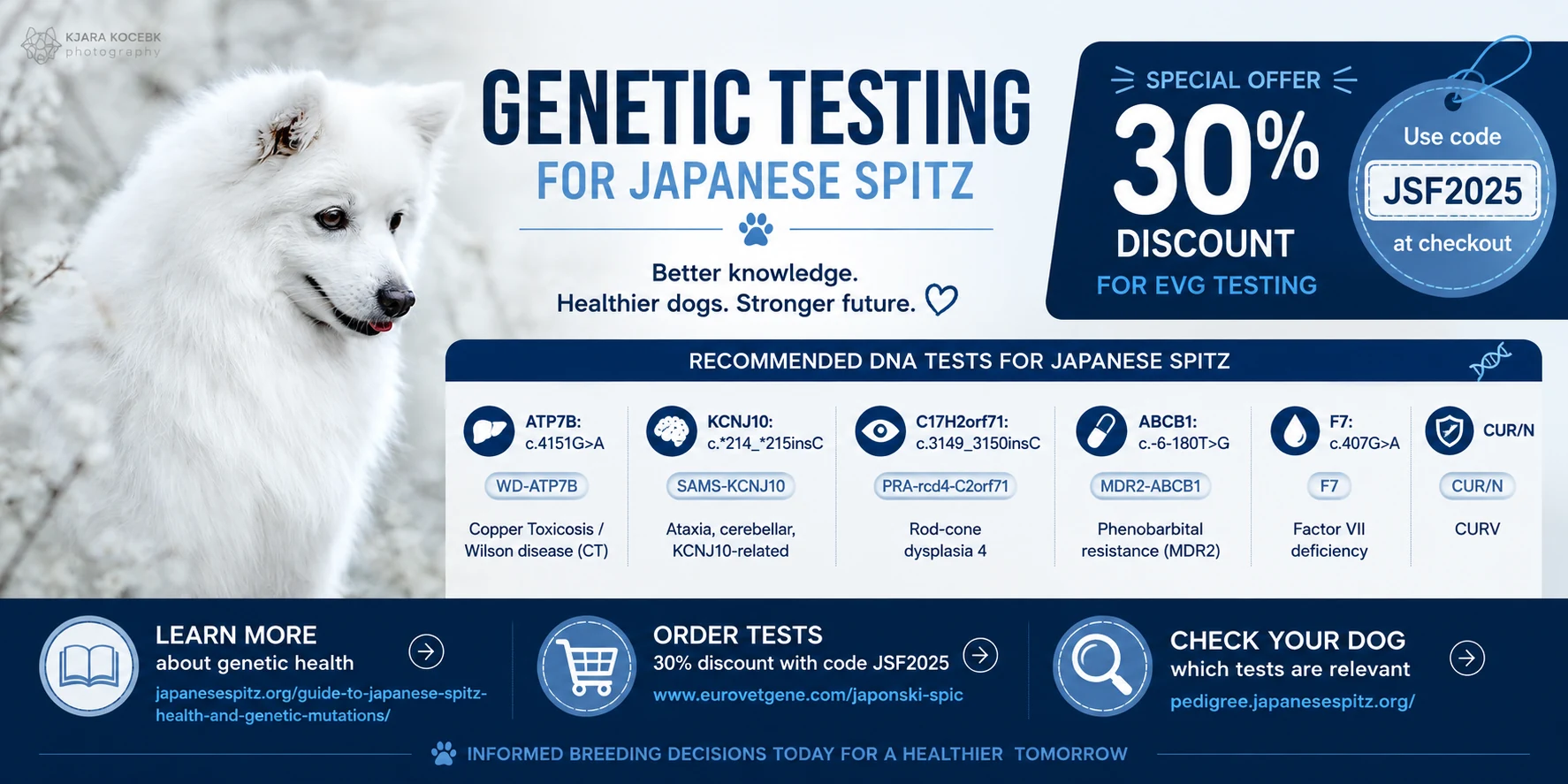 Genetic testing for Japanese Spitz. Recommended DNA tests: WD-ATP7B (copper toxicosis), SAMS-KCNJ10 (cerebellar ataxia), PRA-rcd4-C2orf71 (rod-cone dysplasia 4), MDR2-ABCB1 (phenobarbital resistance), F7 (Factor VII deficiency) and CUR/N. 30% discount on EVG testing with code JSF2025.